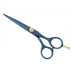 Professional Hair Cutting Scissors