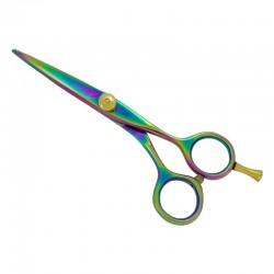 Professional Hair Cutting Scissors