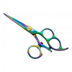 Professional Hair Cutting Scissors