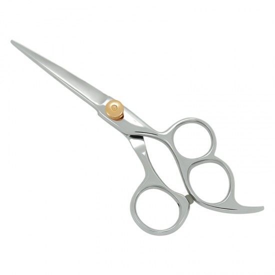 Professional Hair Cutting Scissors