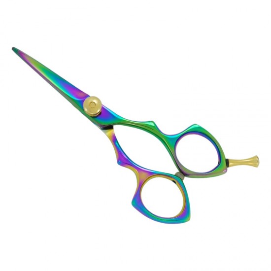 Professional Hair Cutting Scissors