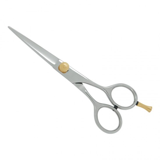 Professional Hair Cutting Scissors