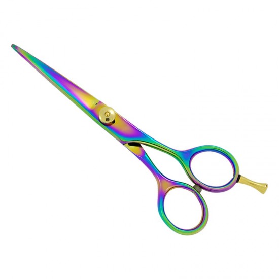 Professional Hair Cutting Scissors