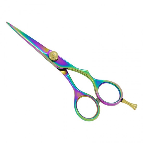 Professional Hair Cutting Scissors