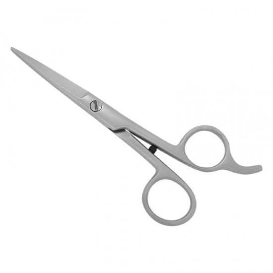 Professional Hair Cutting Scissors