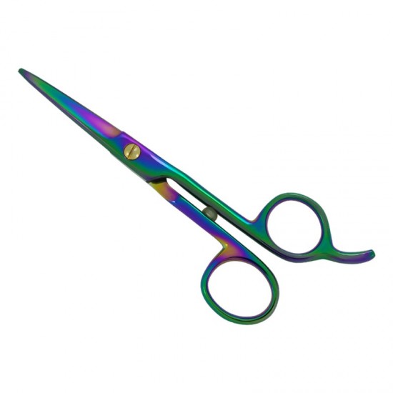 Professional Hair Cutting Scissors