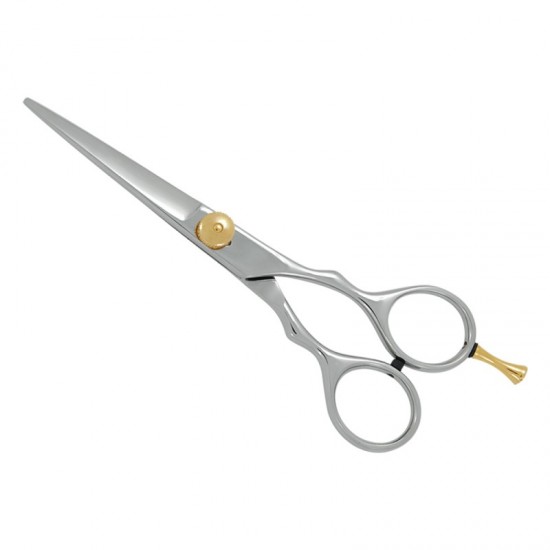 Professional Hair Cutting Scissors