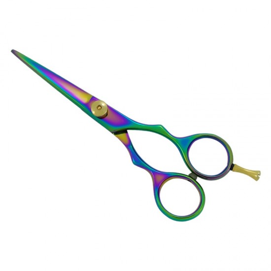 Professional Hair Cutting Scissors