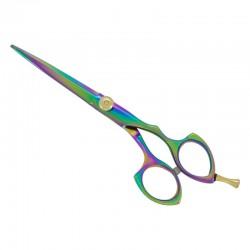 Professional Hair Cutting Scissors