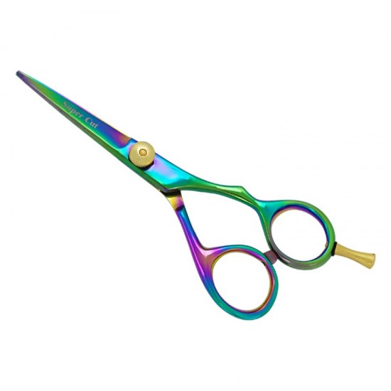 Professional Hair Cutting Scissors