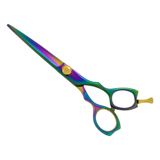 Professional Hair Cutting Scissors