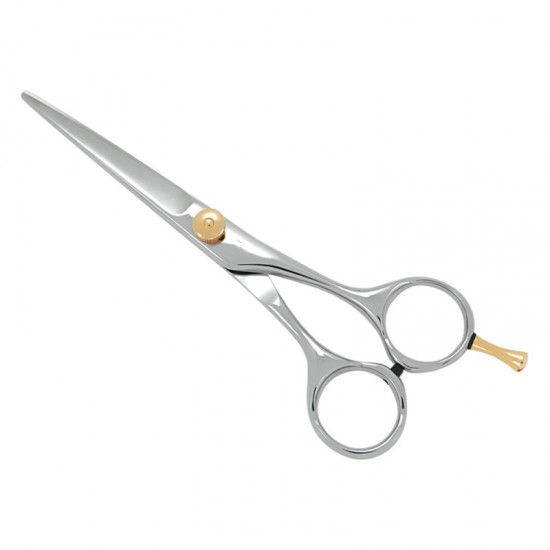 Professional Hair Cutting Scissors