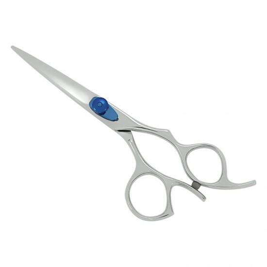 Professional Hair Cutting Scissors