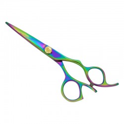 Professional Hair Scissors