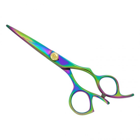 Professional Hair Scissors