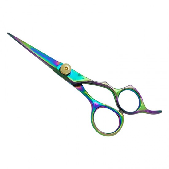 Professional Hair Cutting Scissors