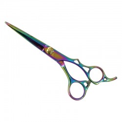 Professional Hair Cutting Scissors