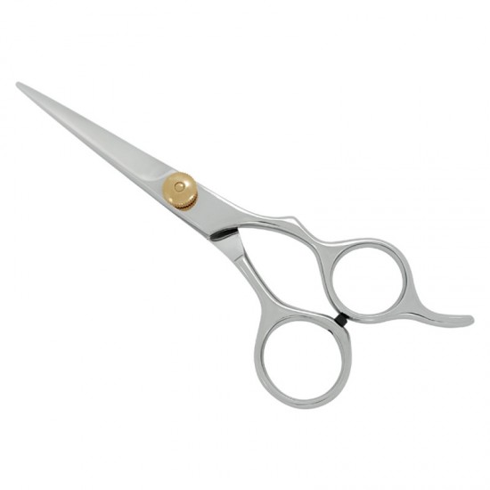 Professional Hair Cutting Scissors