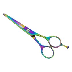 Professional Hair Cutting Scissors