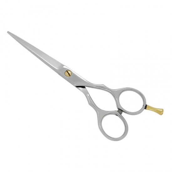 Professional Hair Cutting Scissors