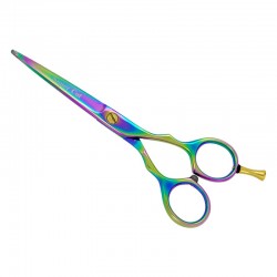 Professional Hair Cutting Scissors