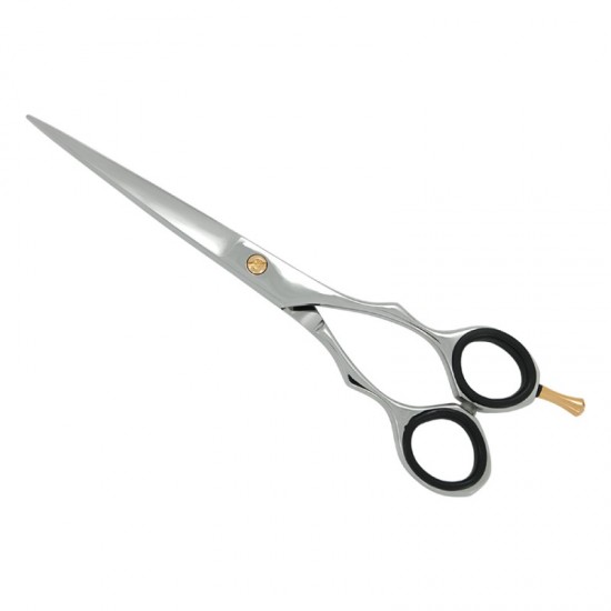 Professional Hair Cutting Scissors