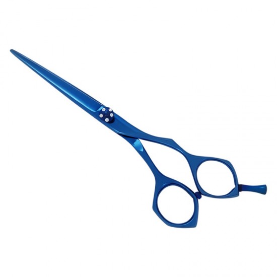 Professional Hair Cutting Scissors