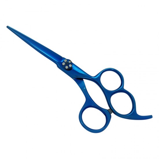 Professional Hair Cutting Scissors