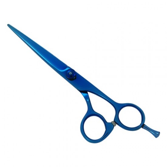 Professional Hair Cutting Scissors