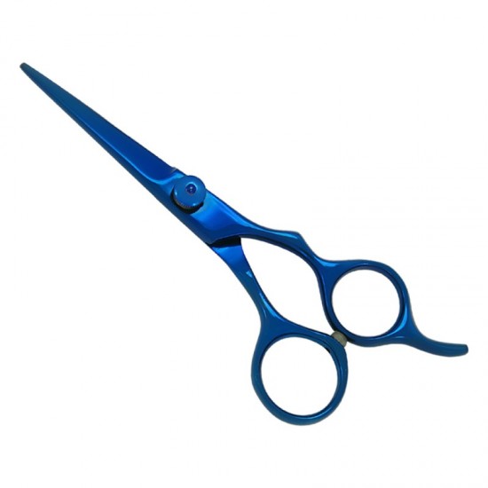 Professional Hair Cutting Scissors