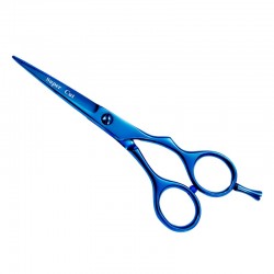 Professional Hair Cutting Scissors