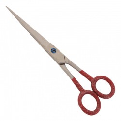 Economy Hair Scissors