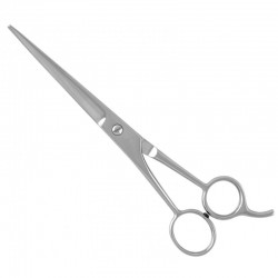 Economy Hair Scissors