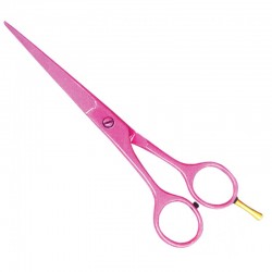 Economy Hair Scissors