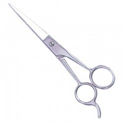 Economy Hair Scissors