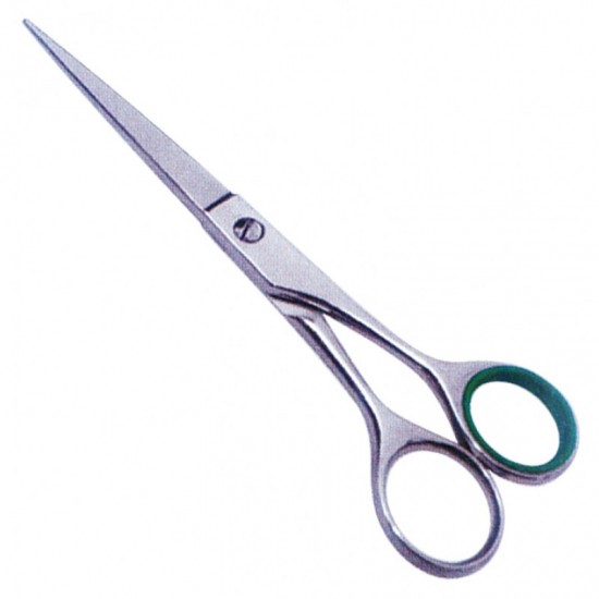 Economy Hair Scissors