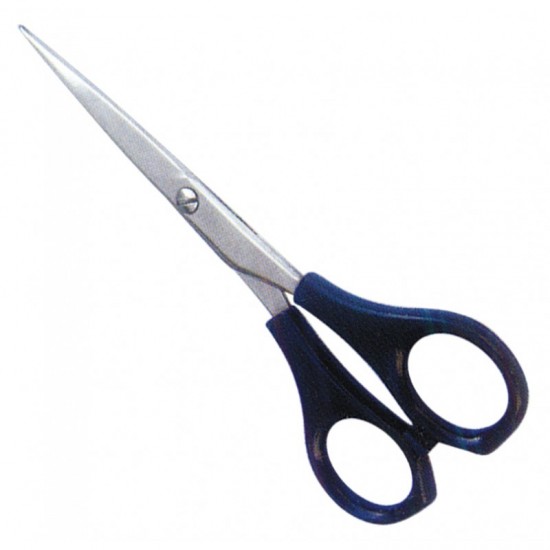 Economy Hair Scissors