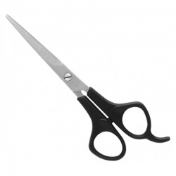 Economy Hair Scissors