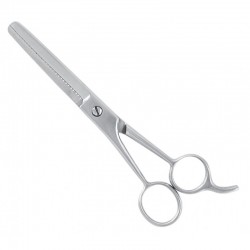 Economy Hair Scissors