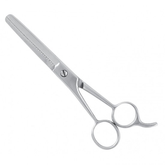 Economy Hair Scissors