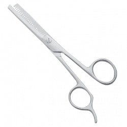 Economy Hair Scissors