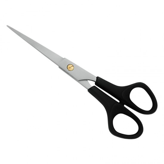 Plastic Handle Scissors