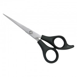 Plastic Handle Scissors