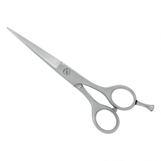 Professional Hair Cutting Scissors