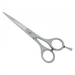 Professional Hair Cutting Scissors