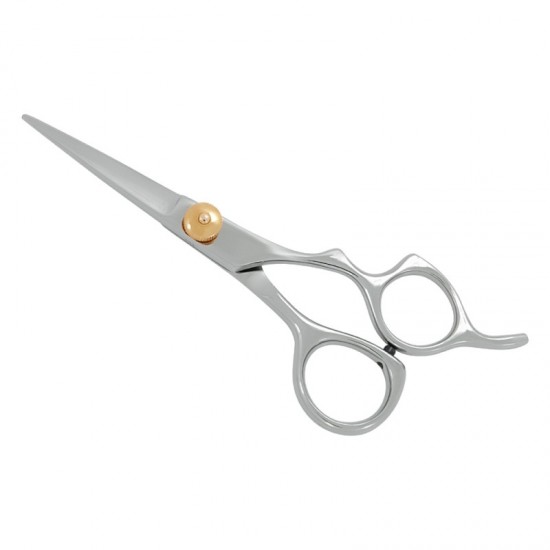 Professional Hair Cutting Scissors