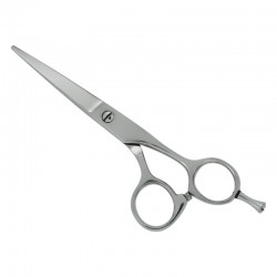 Professional Hair Cutting Scissors