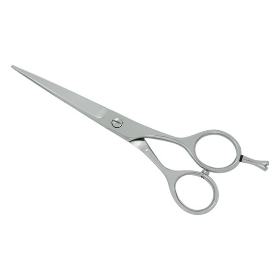 Professional Hair Cutting Scissors