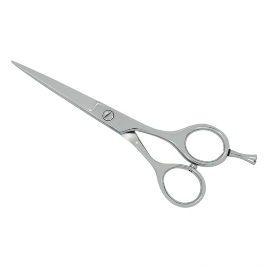 Professional Hair Cutting Scissors