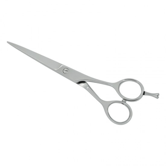 Professional Hair Cutting Scissors